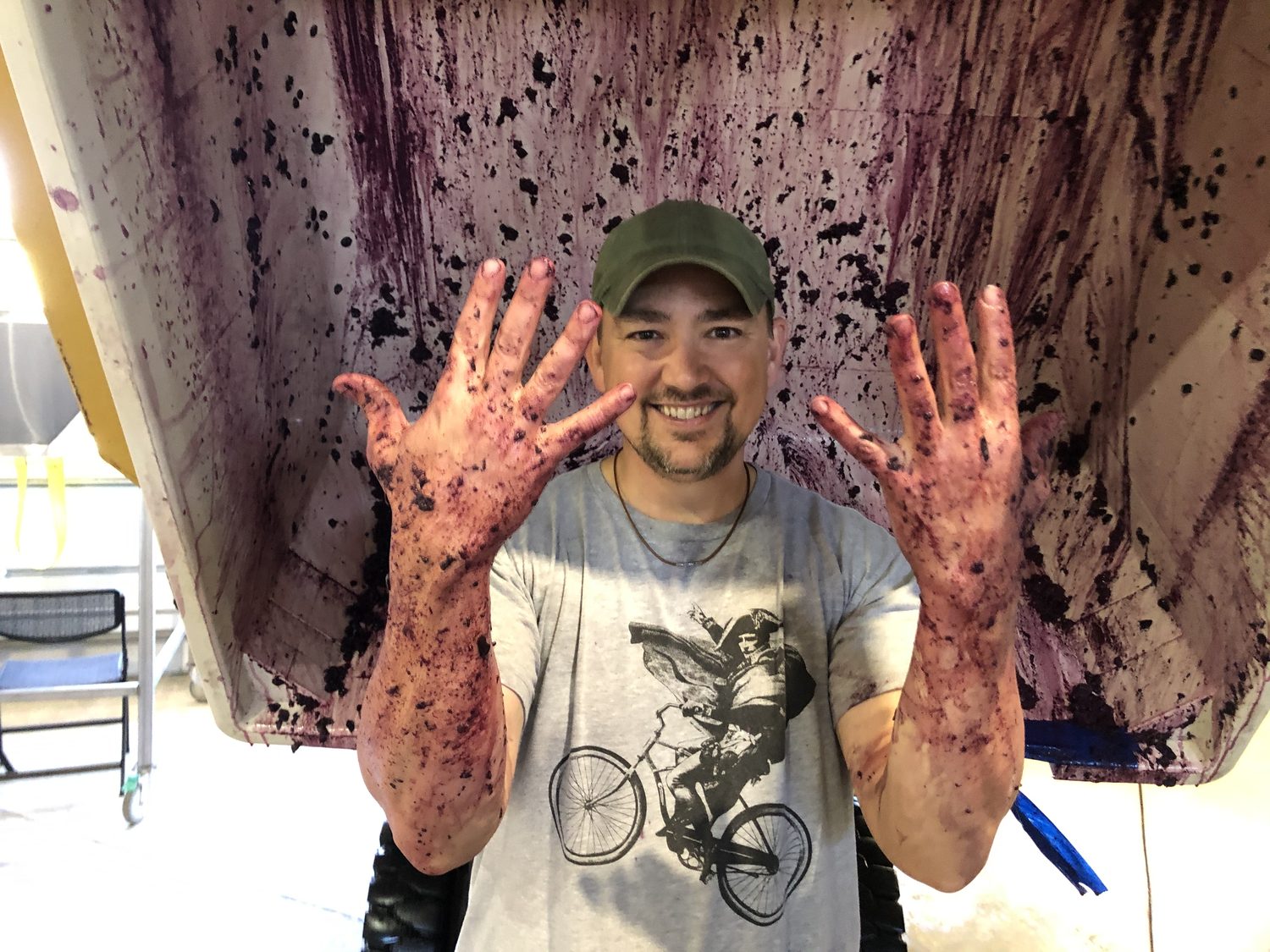 Winemaker's grape-stained hands during the vineyard harvest